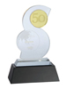 2011 Security 50 Award by A&S International 